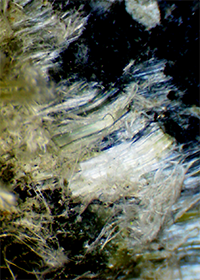 Asbestor fibers